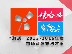 激活品牌新动能 娃哈哈2013-2016年度市场营销战略规划